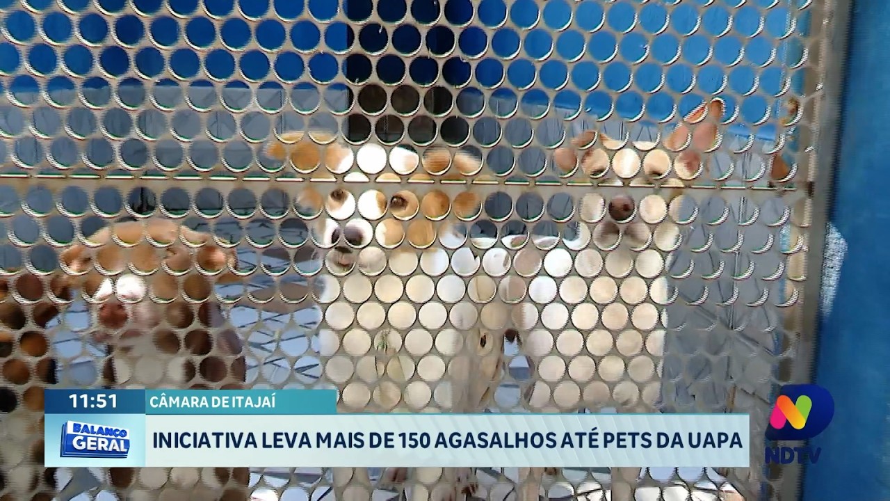 Câmara de Itajaí doa mais de 150 itens para animais acolhidos na UAPA