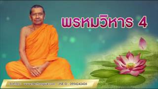 หลวงพ่อฤาษีลิงดำ เทศนา พรหมวิหาร 4 เอาใจจับอยู่ในอารมณ์แห่งความประเสริฐ HD