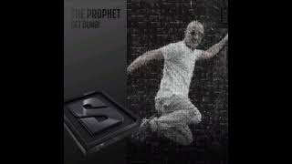 The Prophet - Get Dumb! (Crow & Erick HZ Edit)