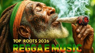 Weary of the City Smoke? 🌴 Find Your Escape in Zion with Pure Roots Reggae – LIVE🔴24/7