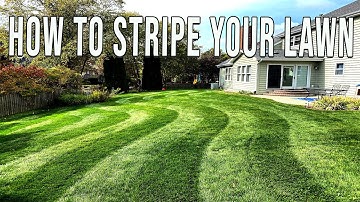 Learn To Stripe Your Lawn Like A Pro!