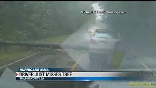 Car slams in to tree