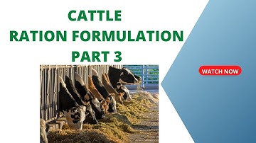Dairy Cattle Ration Formulation   part 3