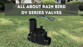 Rain Bird DV Valve Series ( irrigation valve )