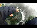 Зимняя рыбалка. Подлещ и Щука. Февараль 2021