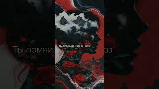 Цитата + Горная роза = мурашки 🌹 | Тимур Казбеков #Shorts