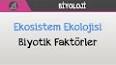 Biyoloji - Ekoloji Nedir ? ile ilgili video