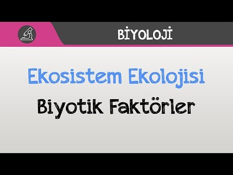 Video: Yeryüzündeki biyotik faktörleri oluşturan maddelere örnek veriniz?