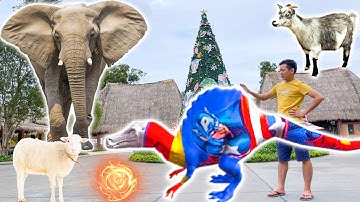 Changcady đưa khủng long đi vườn thú chơi với các con vật: con cừu, dê, con voi, sư tử, khỉ - P363