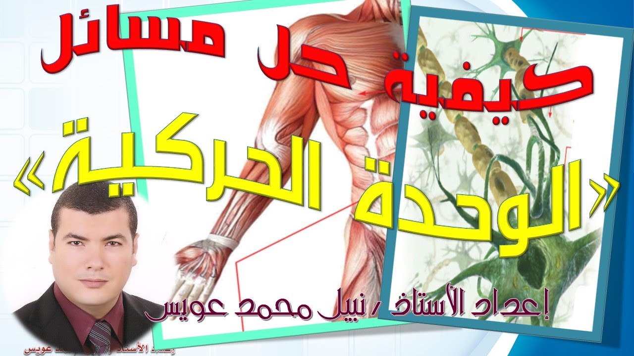 كيفية حل مسائل الوحدة الحركية بكل سهولة وبساطه | للثانوية العامة والأزهرية | أستاذ | نبيل عويس