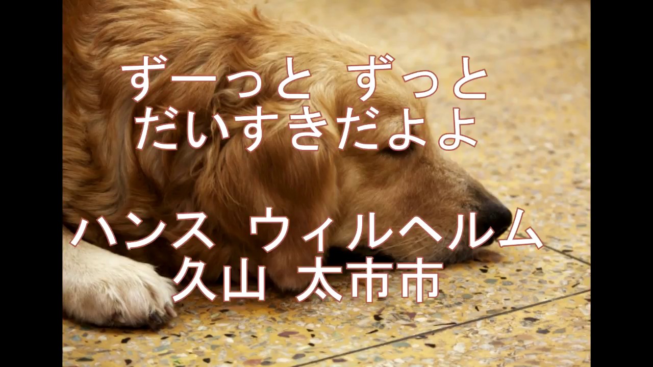 ずーっと ずっと だいすきだよ ハンス ウィルヘルム 久山 太市 絵本の朗読 Youtube ずーっと ずっと だいすきだよ ハンス ウィルヘルム 久山 太市 絵本の朗読 Youtube