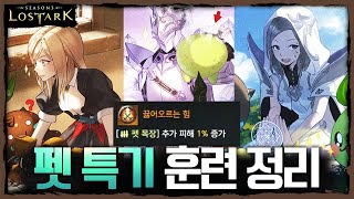 펫 어디로 보내면 되나요? 펫 특기 훈련 정리 - 포셔의 로스트아크 설명회