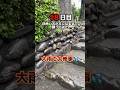 石を動画のいいね！の数だけ蹴ってみた！18日目#石蹴男#東海オンエア
