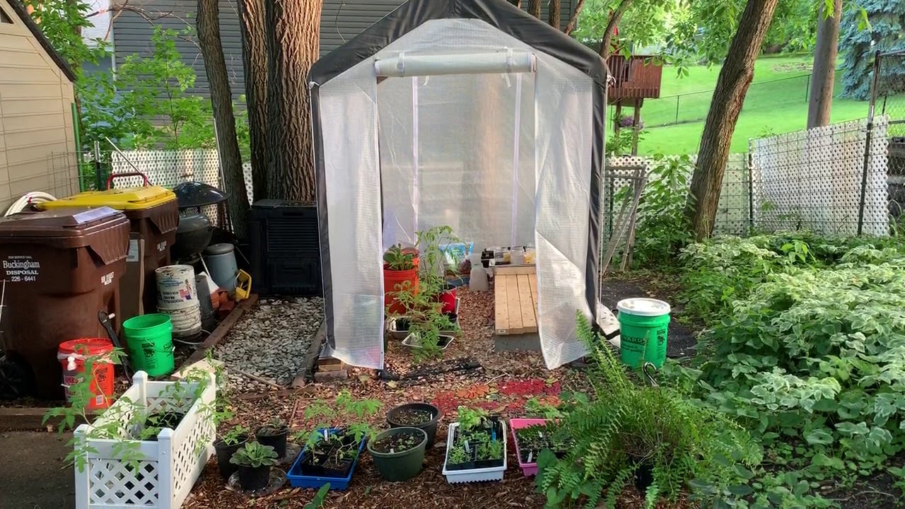 Little Greenhouse 2019 review YouTube