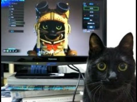 Mhw オトモアイルーのキャラメイク中に反応するかわいい猫達まとめ モンハンワールド Mhworld Felyne Vs Cat Youtube