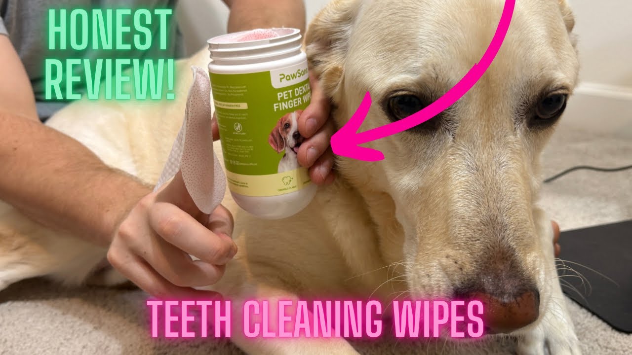 PawSono Dog Teeth Cleaning Wipes REVIEW