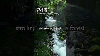 森林浴 - Shinrin-yoku #LearnJapanese #DailyJapanese