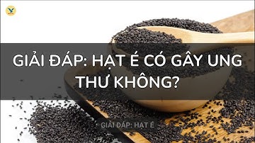 Giải đáp: Hạt é có hây ung thư không?