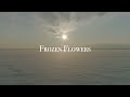 Frozen Flowers 2023 full ver.