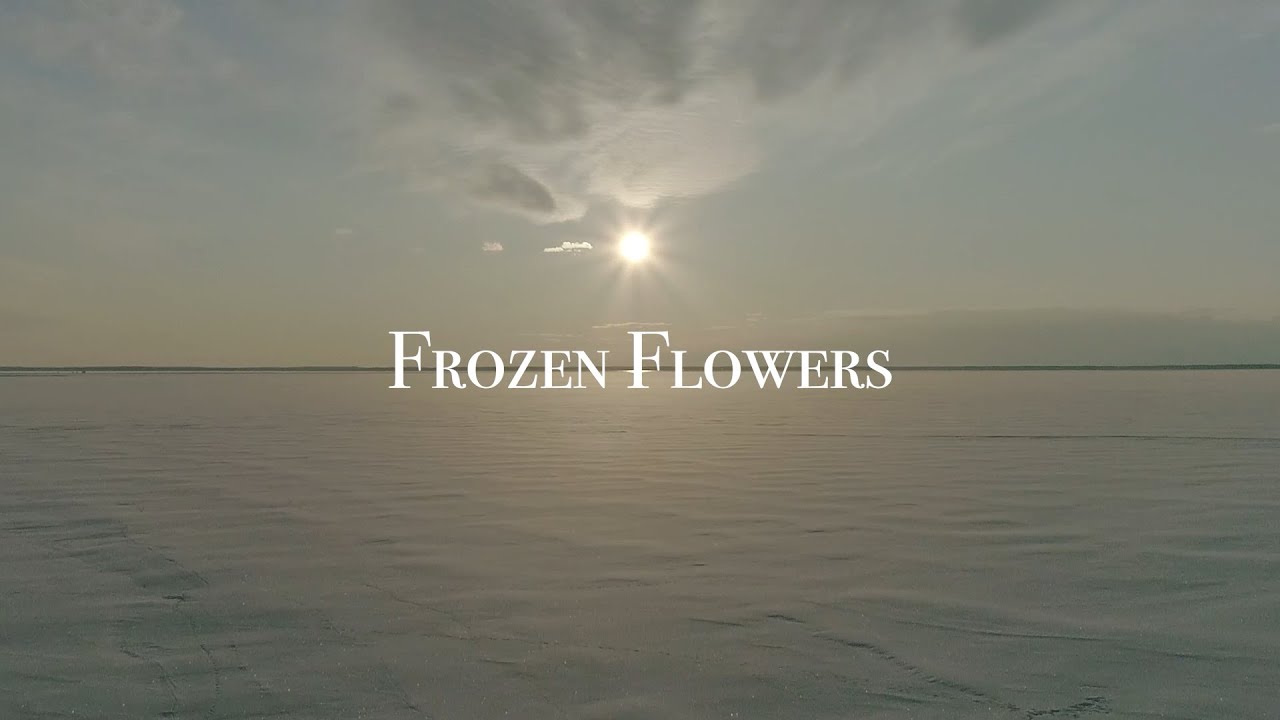 Frozen Flowers 2023 | AMKK（東信, 花樹研究所）