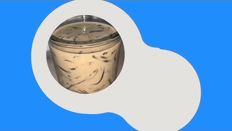 PROCEDURE TEXT " How To Make Iced Grass Jelly Cappuccino "