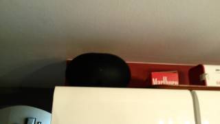 Evid3.2 6x passiv jbl control sb2 subwoofer passiv