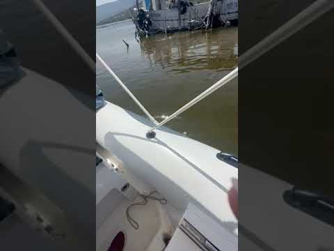 Il Lago di Varano ridotto ad una pozza di acqua verdastra