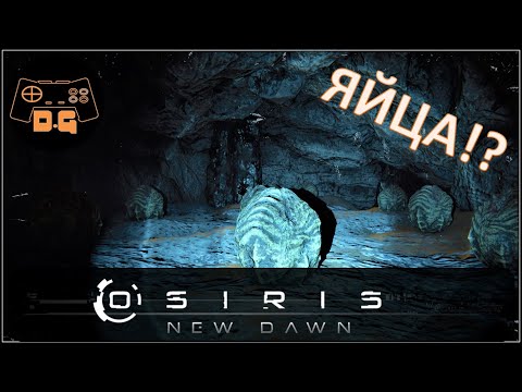 Osiris New Dawn ◈ Зеленый и красный ключ! ◈ Переезд базы ◈ #4v2