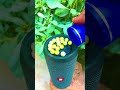 jbl super beat test n navy blue pearl blast powerful bass test