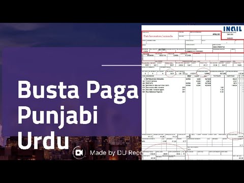 Busta Paga in Punjabi Urdu with full detail | Tutorial