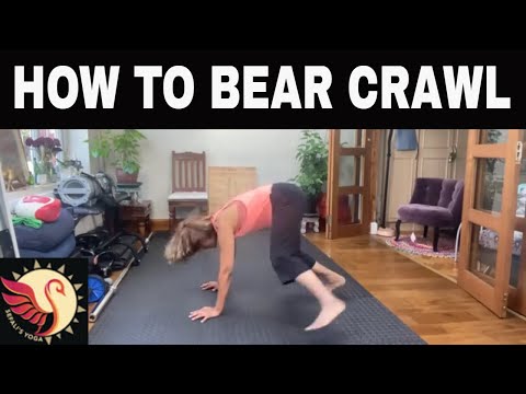 How to Bear Crawl!