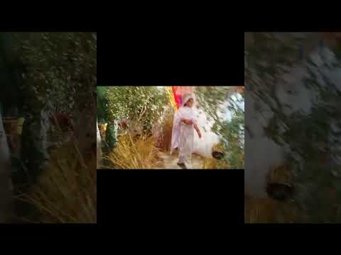 Jashn E Eid Milad Un Nabi Veloging Queen Ramla Riaz