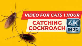 Cat Games. Realistic Cockroaches on Screen. ( Video for Cats 1 hour ) 🪳🐾