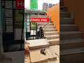Home staip design || staip construction ||#trending #construction #design #youtubeshorts #tiktok