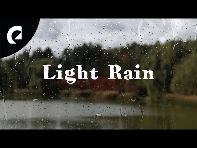 Light Rain Ambience For Deep Sleep, Relaxation, Study, Work (20 Minutes) class=