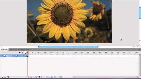 merihelp.net: 2D Animation Lab One, part one.mp4