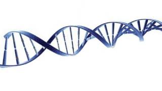 Scientific Proof of God