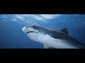 Water is Life (short film) by RanMarine Technology