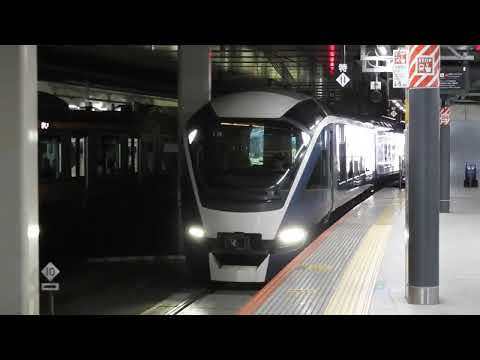 E261系　[特急]サフィール踊り子5号伊豆急下田行き　新宿駅到着
