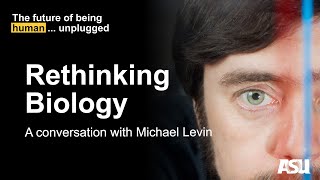 Rethinking Biology: A Conversation With Michael Levin screenshot 5