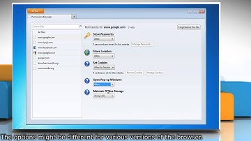 Mozilla® Firefox: How to let certain websites save password, cookies etc. in Windows® 7