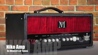 Niko Signature Amp - Clean sound (raw footage demo) On sale!!