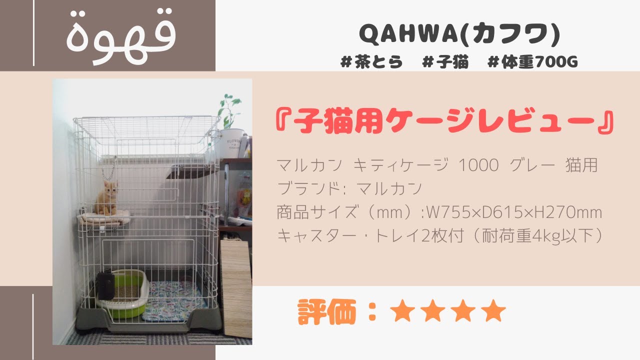 猫と暮らす】子猫用ケージ購入レビュー！マルカン キティケージ 1000