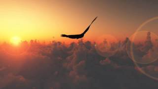 Man Is Not A Bird - Ø