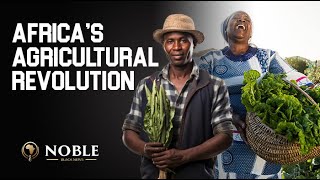 AFRICA IS THE FUTURE: THE AGRICULTURAL REVOLUTION FEEDING THE WORLD! 🌍🌾