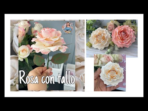 Vídeo: Com Fer Una Rosa De Feltre Amb Llana: Una Classe Magistral