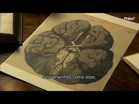 Video: Teadlane Robert Boyle: Elulugu, Teaduslik Tegevus