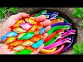 Surprised Catch Ornamental Fish In Small Pond, Three Tail Fish, Betta Fish, Guppy, Frog, Turtle, Koi