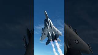 #F-14#Flying