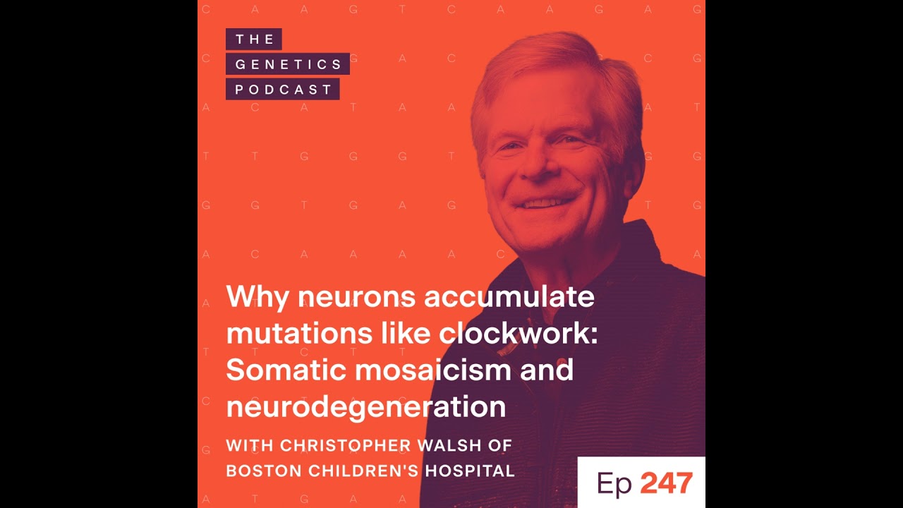 EP 247: Why neurons accumulate mutations like clockwork: Somatic mosaicism and neurodegeneration ...